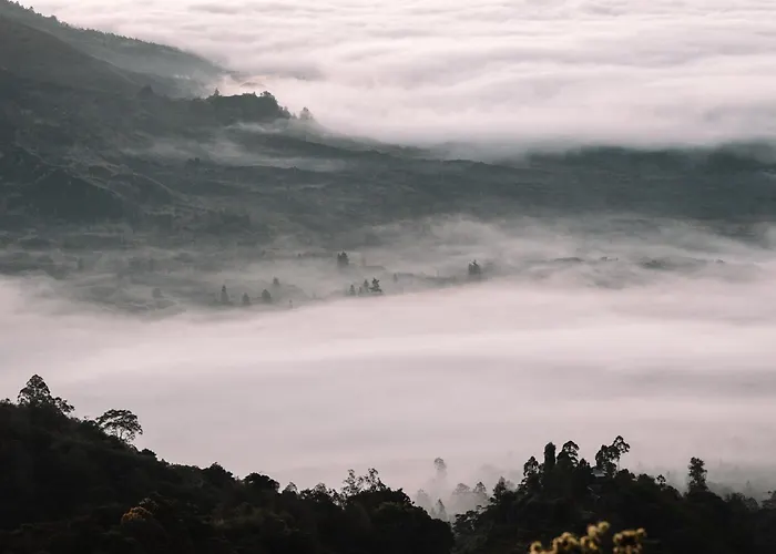 ホテル Batur Kintamani